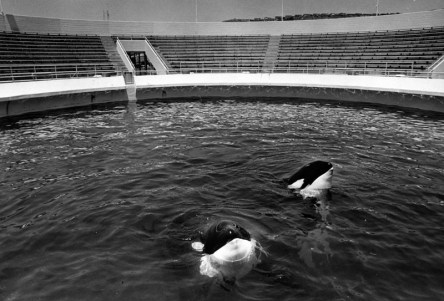 tumblr_n45hx8J1CK1qkwyxao1_1280